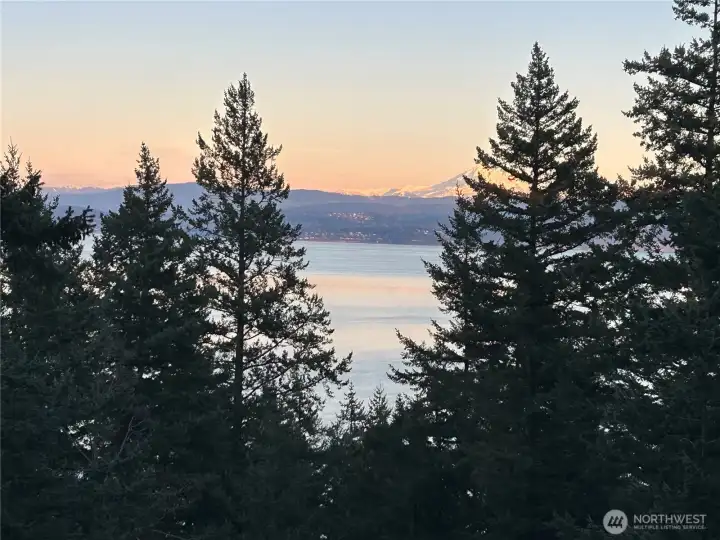 View from inside the home...