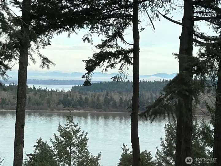 View from inside the home...