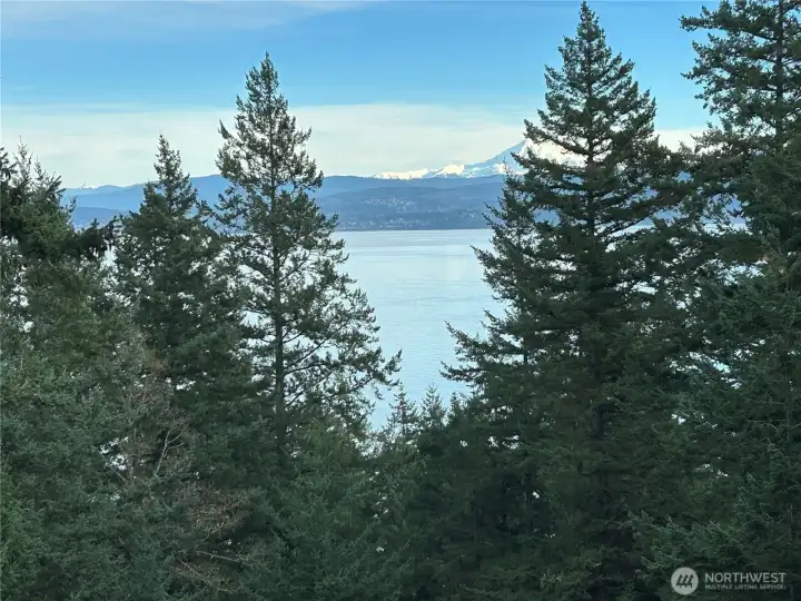 View from inside the home...