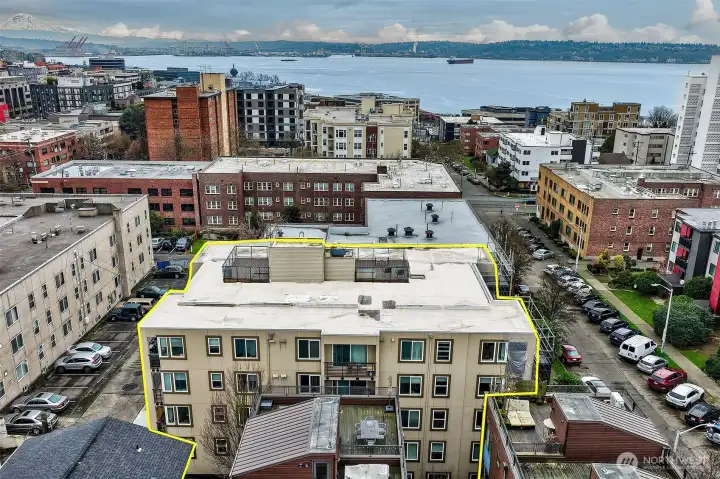 Close to Seattle's tech hub, downtown and yet blocks to historic Queen Anne homes. This is a great location. The Microsoft connector picks up close by.