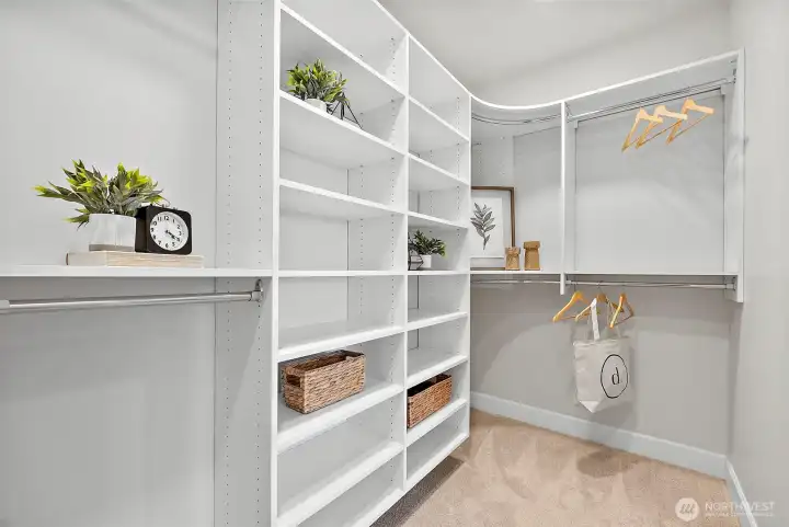 Primary Walk-in closet with carpeted flooring
