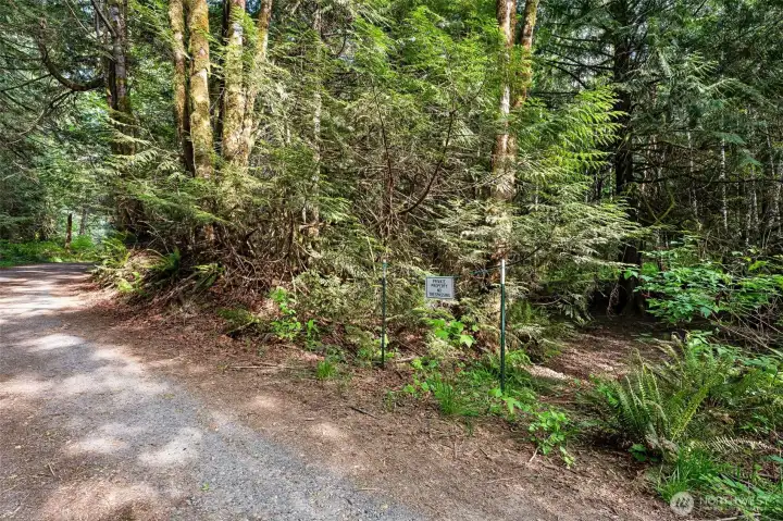 Entrance off road to see Vaughn Creek.