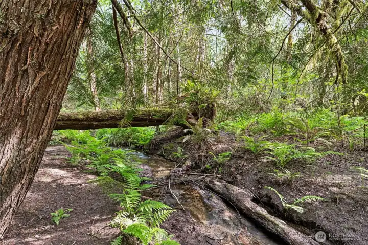 Vaughn Creek runs through the lower portion of the property.