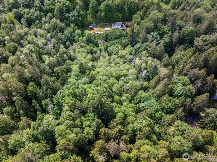 Almost 5 acres of private nature retreat.