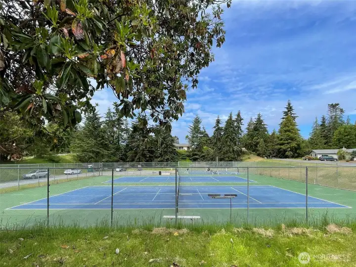 Sunland Community Pickleball/Tennis Court Sunland Community Pickleball/Tennis Court