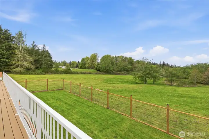Fenced dog run Fenced dog run