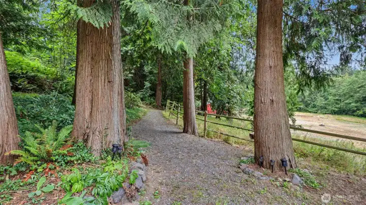 Pathway to the barn and pasture. Pathway to the barn and pasture.