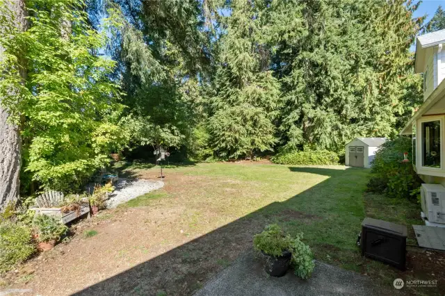 Looking from the patio out into the treed area and gratto.