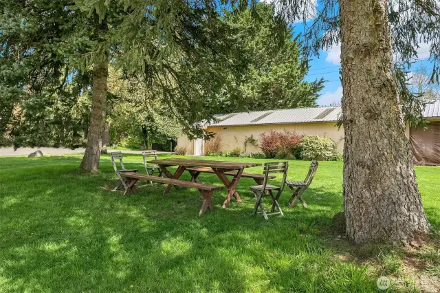 Sitting area looks to Hay Barn, Tool Shed and Facility RR.