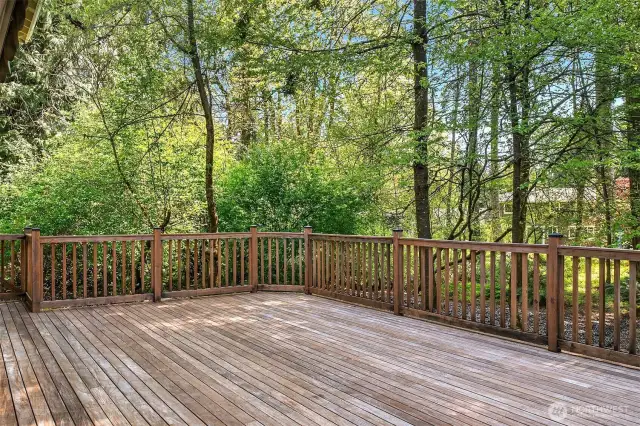 Ipe wood deck