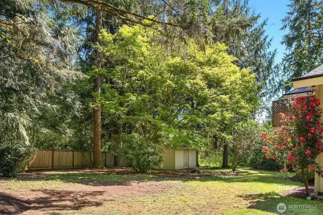 Side yard with shed