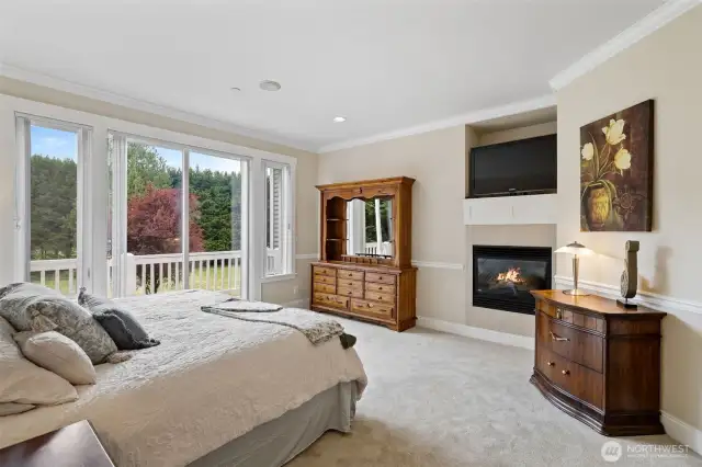 Main Floor Primary - luxurious, fireplace and balcony