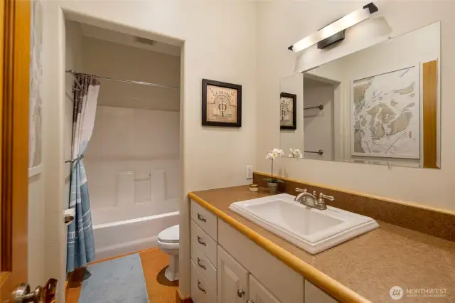 Guest bathroom