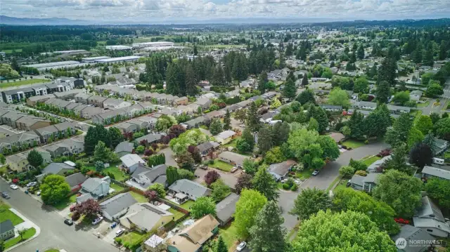 Aerial view of neighborhood