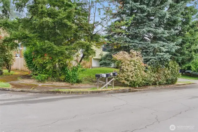 Front yard