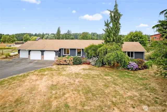 Don't forget about the huge front yard