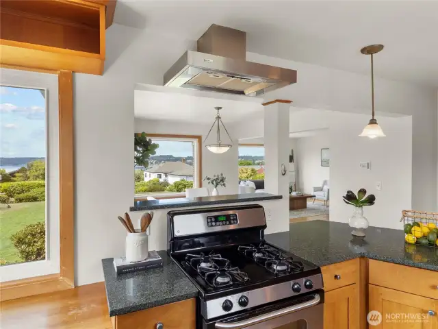 Gas Stove