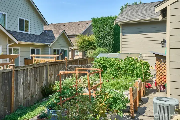Raised beds are currently on the sport's court