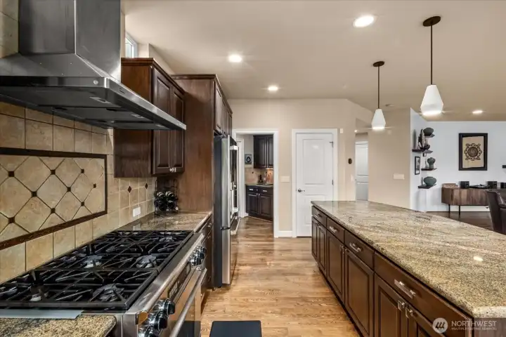 Gas range, miles of counter space!