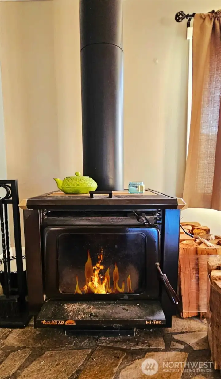 Free Standing Wood Burning Stove