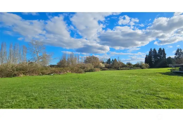 Grassy Noel next to your home!