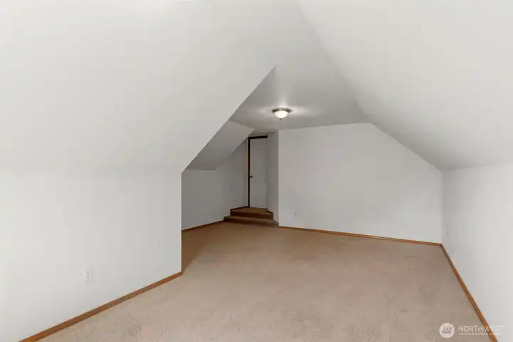 Flex/ Bonus Room