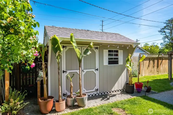 Powered Shed