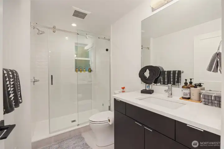 Lower level bathroom