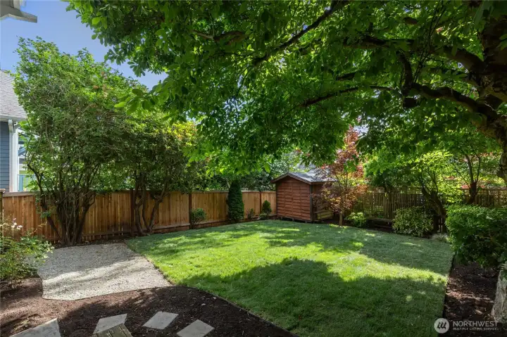 Backyard
