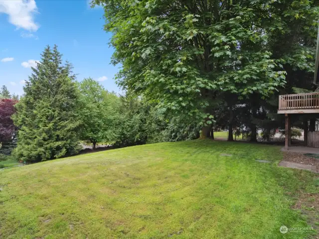 Plenty of room for a garden, summer toys and enjoying the PNW.