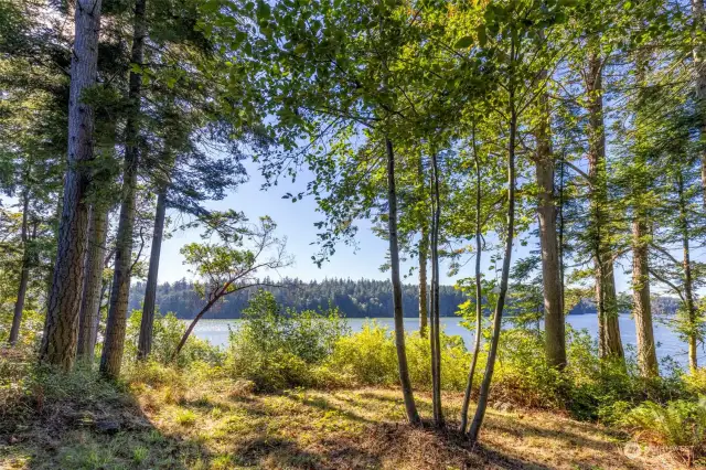 Secluded waterfront view area