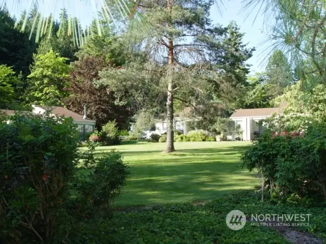 Ridgefield "Green Area" around the Swimming Pool.