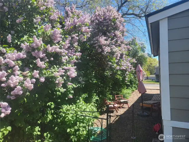 Spring side of home