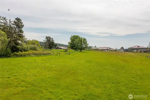 approximately 3 acres of pasture