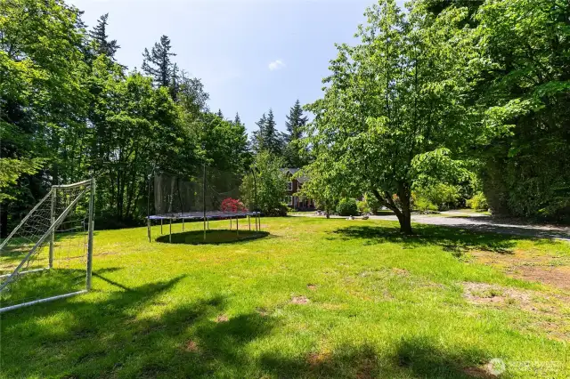 Ample yard space cleared from the trees