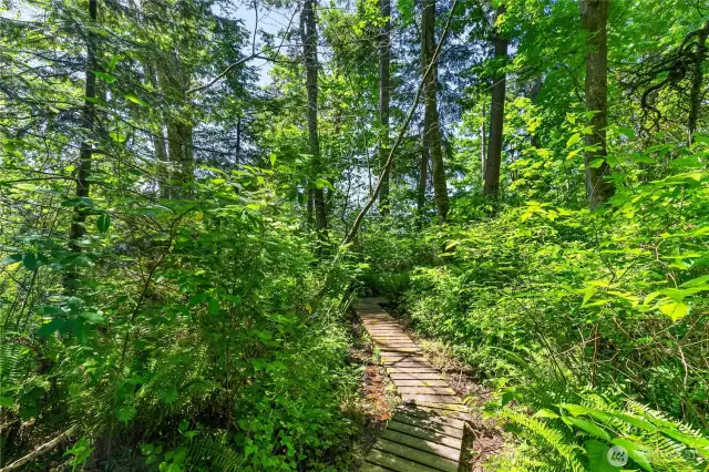 Multiple trails on the property