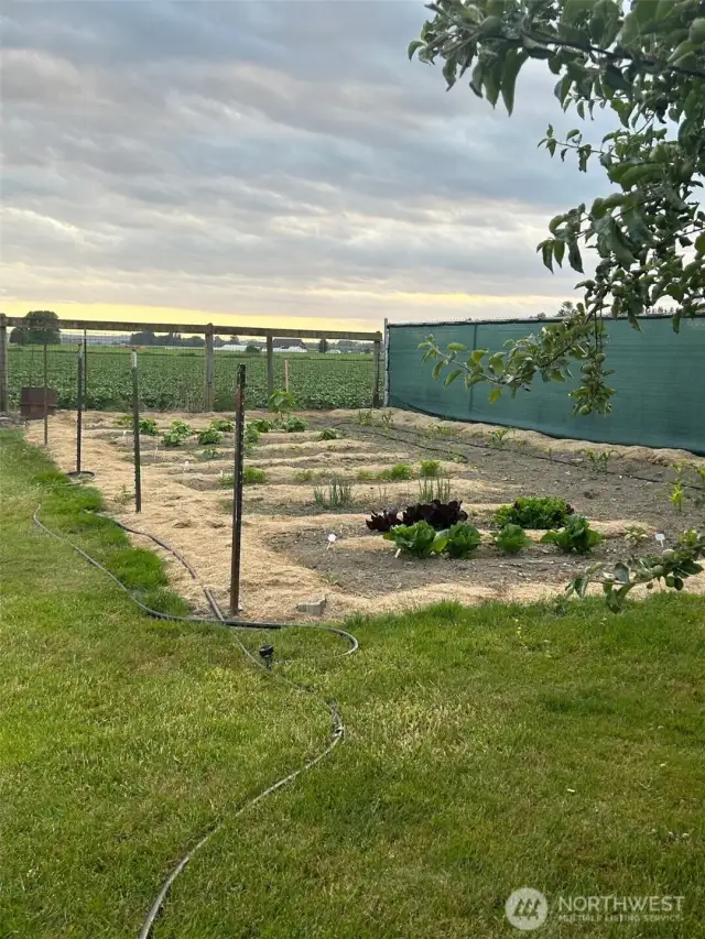 Garden space