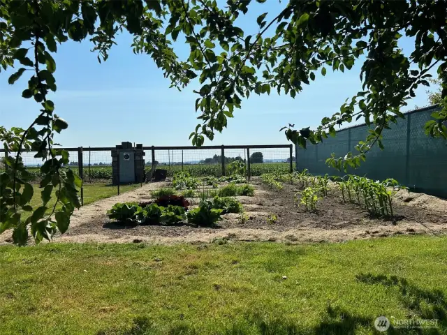 garden space picture taken 2023