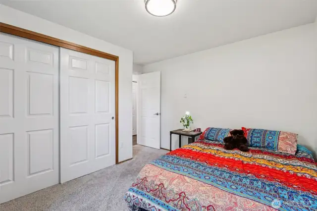 Main Floor bedroom #2