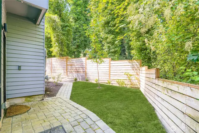 Fully fenced backyard