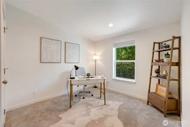 Guest bedroom or home office