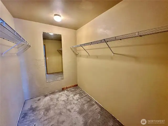 Ample primary walk-in closet.