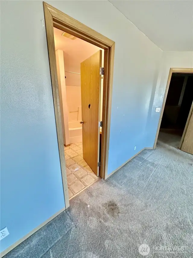 This shows the access to the primary private bath.