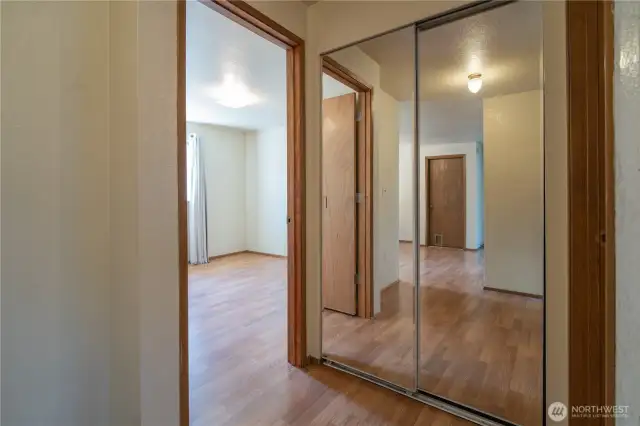 Mirrored Closet end of Hall