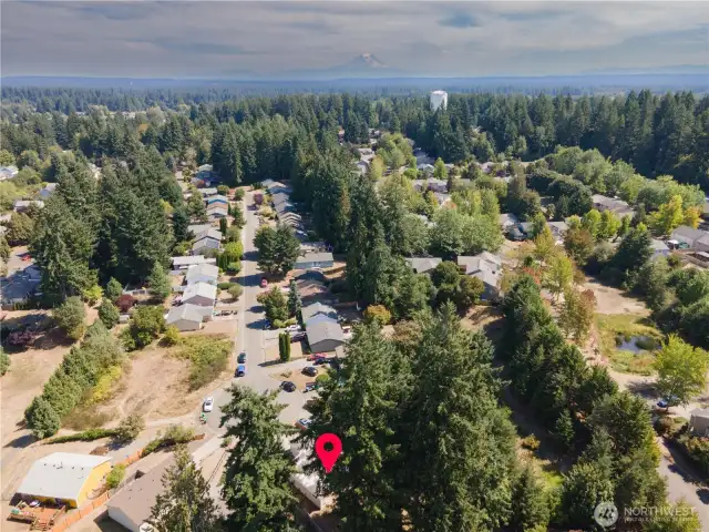 Aerial View of Neighborhood
