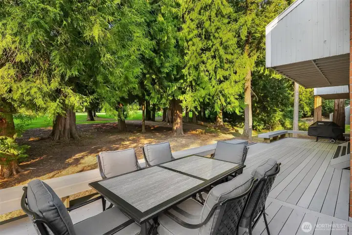 back deck