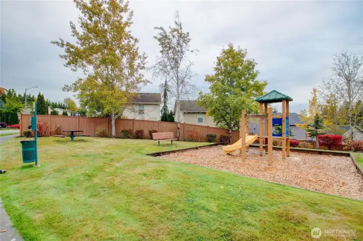 Community playground