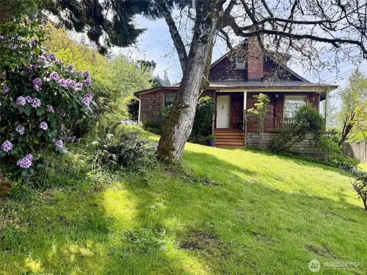 Garden of mature flowering trees and shrubs in front yard