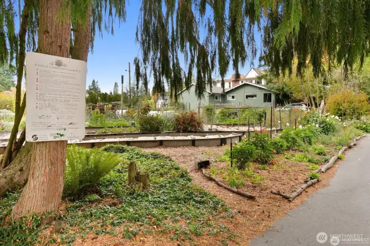 P-Patch community garden steps from home.