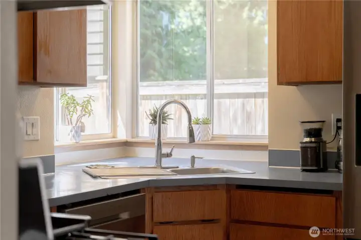 Plant friendly kitchen window.